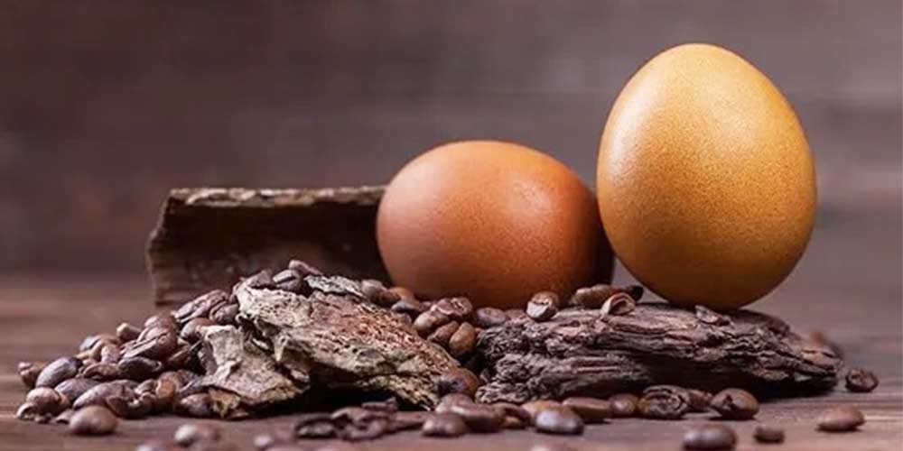 ماسک قهوه و تخم مرغ برای مو