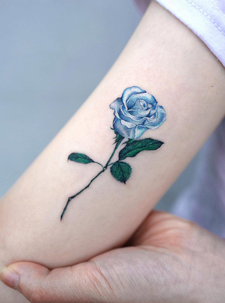 تاتو گل رز آبی معنی تتو گل روی سینه